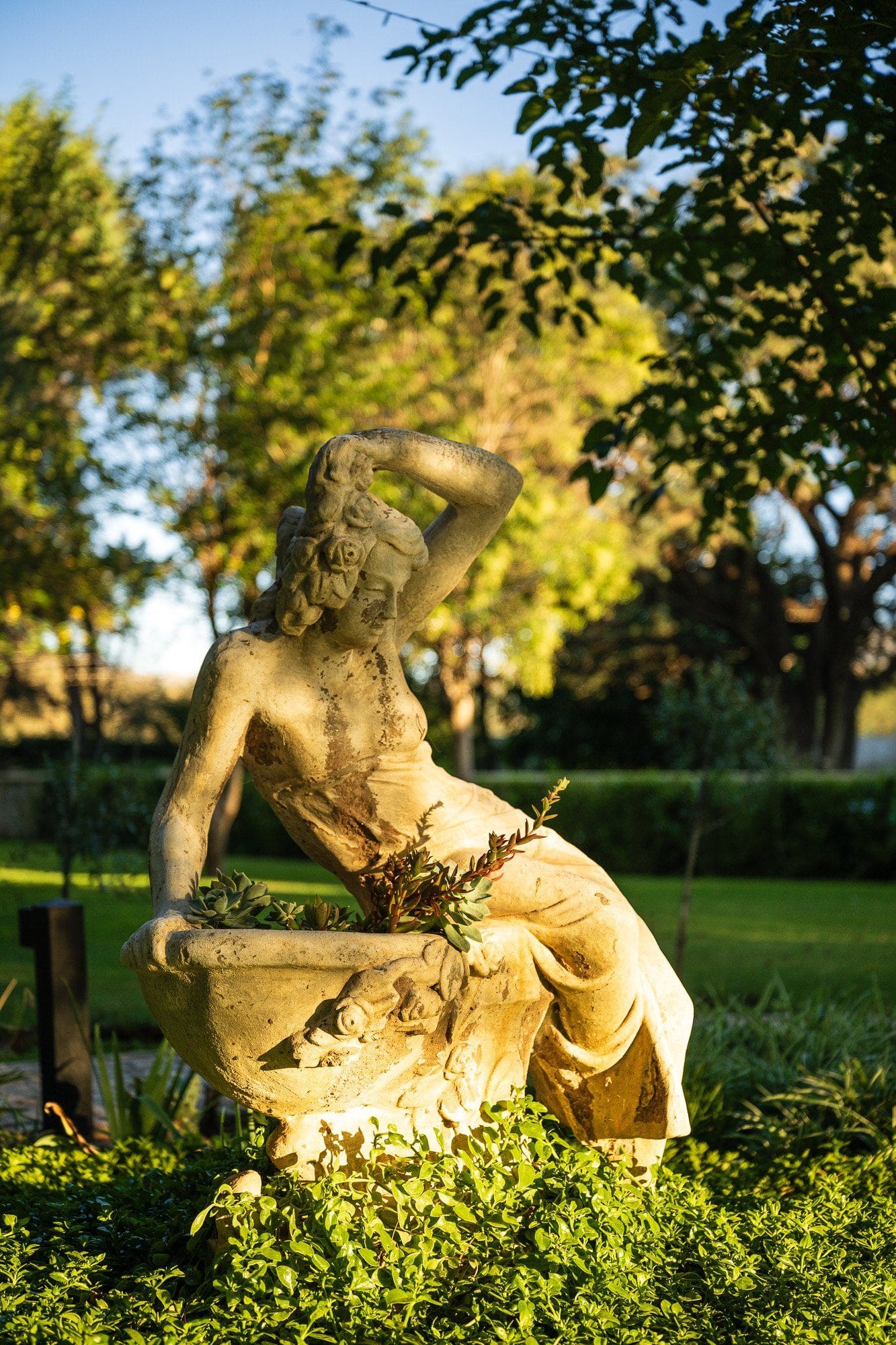 Classical garden statue at golden hour, Droombos Estate