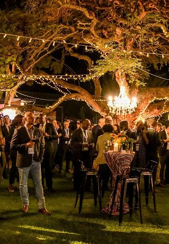 Evening networking beneath lit trees