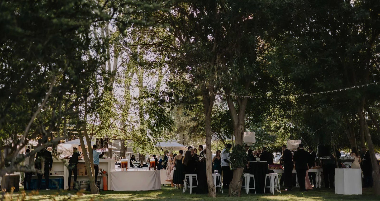 Guests celebrating beneath the trees at Droombos Estate