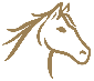 Horse riding icon
