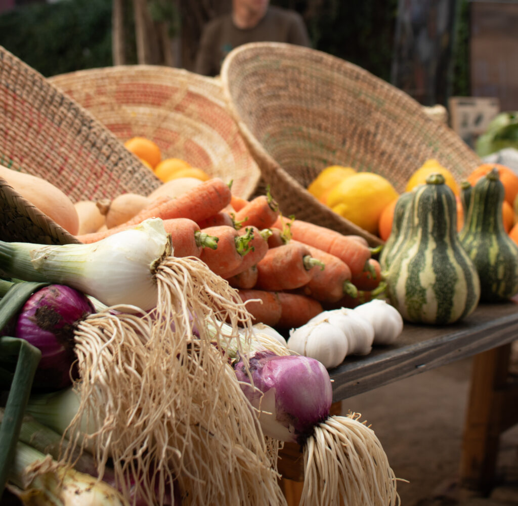 Fresh carrots, onions, squash and citrus in woven baskets at a previous Droombos market