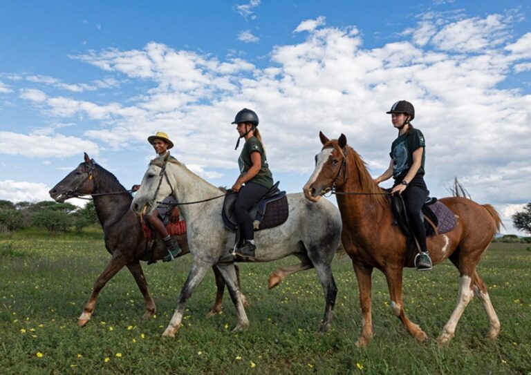 Horse Riding